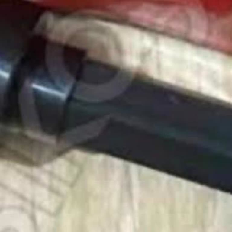 Sinbo Narenciye Sıkacağı İçin Kayıp Küçük Parça Yedek Talebi