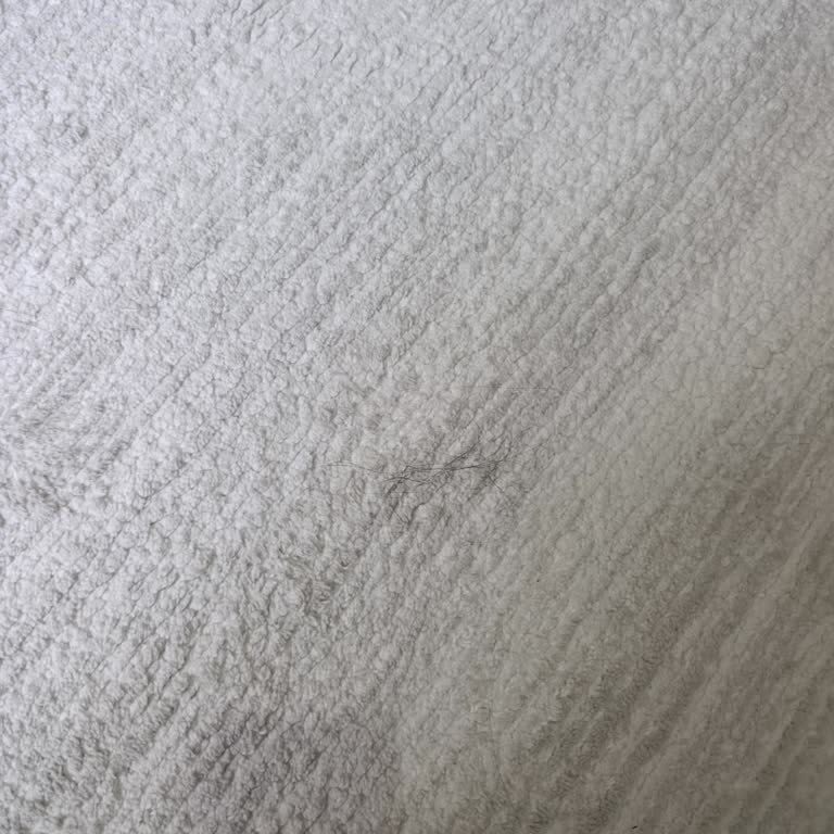 Dreame L40 Ultra Robot Süpürge Halıdaki Saç Ve Tüyleri Temizleyemiyor