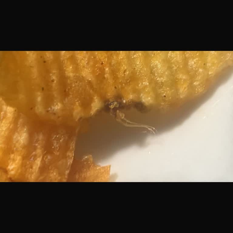 Encuentro un insecto en mis Ruffles de Ketchup