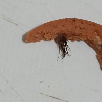 A101 Tatvan Şubesinde Satılan Tavuk Sucuğunda Kıl Benzeri Yabancı Madde Tespit Edildi