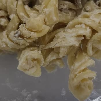 Gurmepack Kremalı Mantarlı Makarnada Kıl Bulunması Hijyen Şikayeti