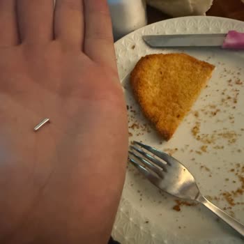 Lezita Şnitzel'de Yabancı Madde Tespiti Ve Gıda Güvenliği Endişesi