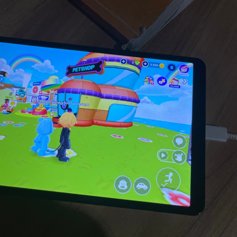 Hayvan Portalı Görünmüyor Ve Takas İşlemleri Engellendi