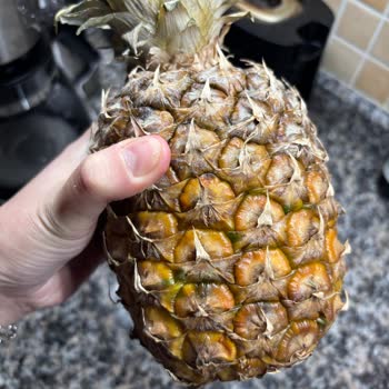 Makro Online’dan Bozulmuş Ananas İçin İade Talebi