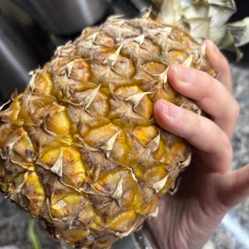 Makro Online’dan Bozulmuş Ananas İçin İade Talebi
