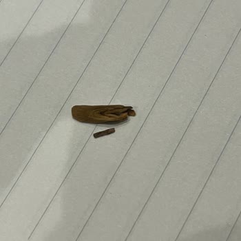 Winston Xsence Black Sigaranın Kalite Düşüşü Ve İçindeki Dal Parçaları