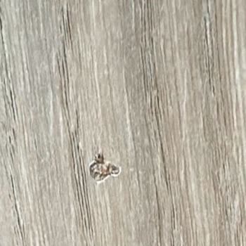 Renk Uyumsuzluğu Ve Defolu Gardırop Nedeniyle Tam İade Talebi