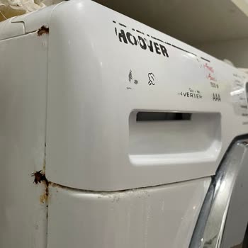 Garanti Dışı Motor Arızası Ve Paslanma Şikayetim