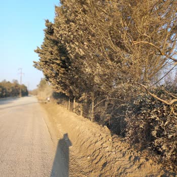 Alevtaş Madencilik Nakliye Araçlarının Yarattığı Toz Ve Aşırı Hız