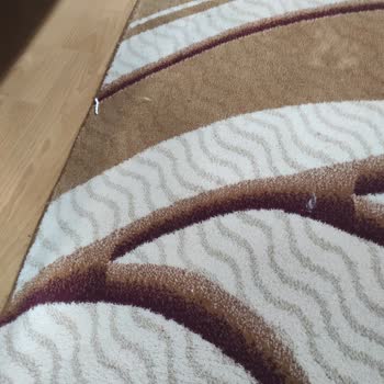 960 TL Karşılığında Yetersiz Halı Temizliği Ve Saygısız Müşteri Tutumu