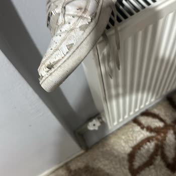 Nike Ayakkabım 8 Ayda Soyulup Çatladı, Değişim Talebim Reddedildi Ve Hizmetten Yanıt Gelmedi