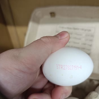 Bingöl Kiğı A101 Şubesinde Son Kullanma Tarihi Geçmiş Yumurta Satışı