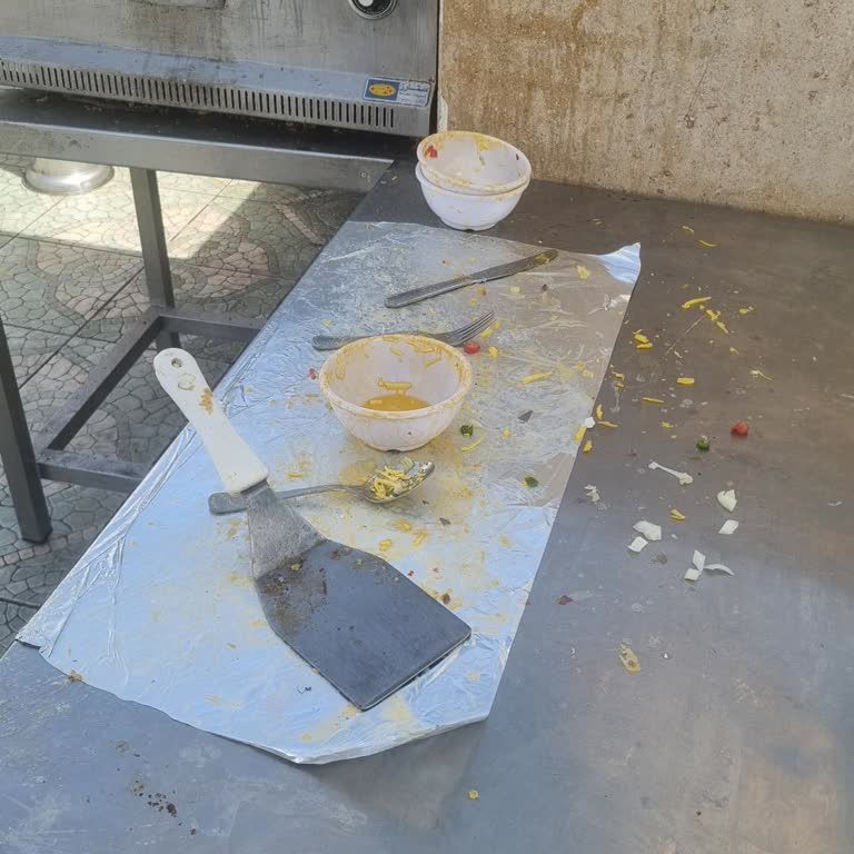 Hijyen Eksikliği Ve Hamam Böcekleriyle Dolu Otelde Tur Mağduriyeti