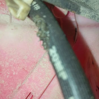 Montaj Hatası Sonrası Ön Fren Hortumu Ve Gösterge Kablosu 8 Aylık Beklemede