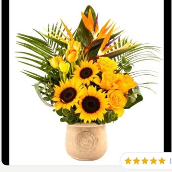 Premium Çiçek Siparişi Görsel Yanıltması Ve Ücret İadesi Talebi