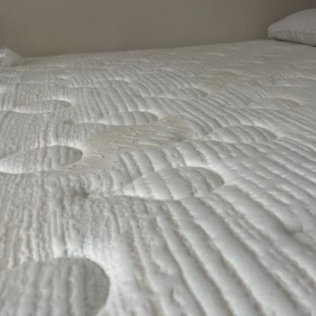 Bambi Yatağın Orta Kısımlarında Belirgin Çökmeler Oluştu