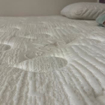 Bambi Yatağın Orta Kısımlarında Belirgin Çökmeler Oluştu