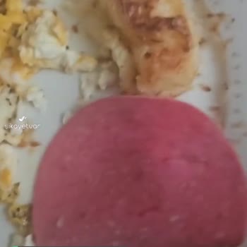 Namet Salamdan Plastik Parçalar Çıktı