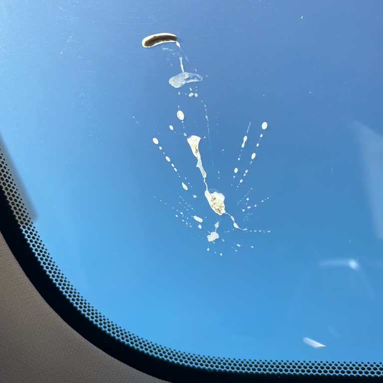 Detaylı Temizlik Söz Verilen Şekilde Olmadı Ve Ücretine Karşılık Gelmedi