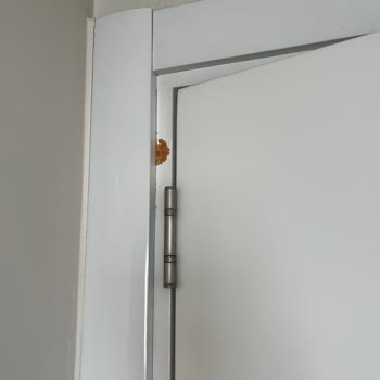 Tunç Mutfak (Torbalı) Kapıların Tamamında Renk Kusmaları ve Boya Atmaları Oluştu