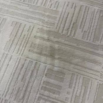 Silindikçe Sararan Halı İçin Garanti Ve İade Talebi