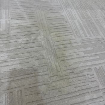 Silindikçe Sararan Halı İçin Garanti Ve İade Talebi