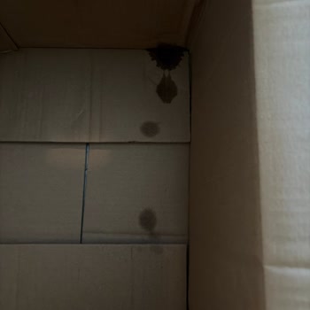 Tazedirekt Kapağı Sorunlu Pancar Suyu Sızıntısı Ve Müşteri Hizmetleri Çözüm Eksikliği