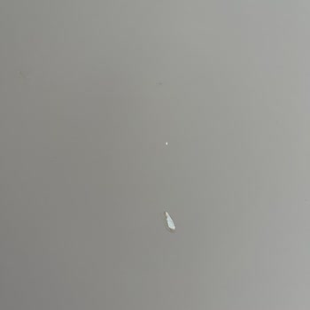 Kalite Problemi Olarak Boya Çözülmesi Ve Garanti Talebi