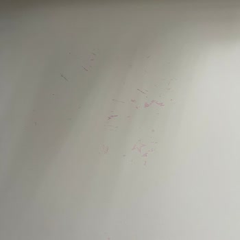 Kalite Problemi Olarak Boya Çözülmesi Ve Garanti Talebi