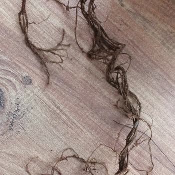 Karadeniz Siyah Çayında Yabancı Cisim Bulunması Ve Para İadesi Talebi