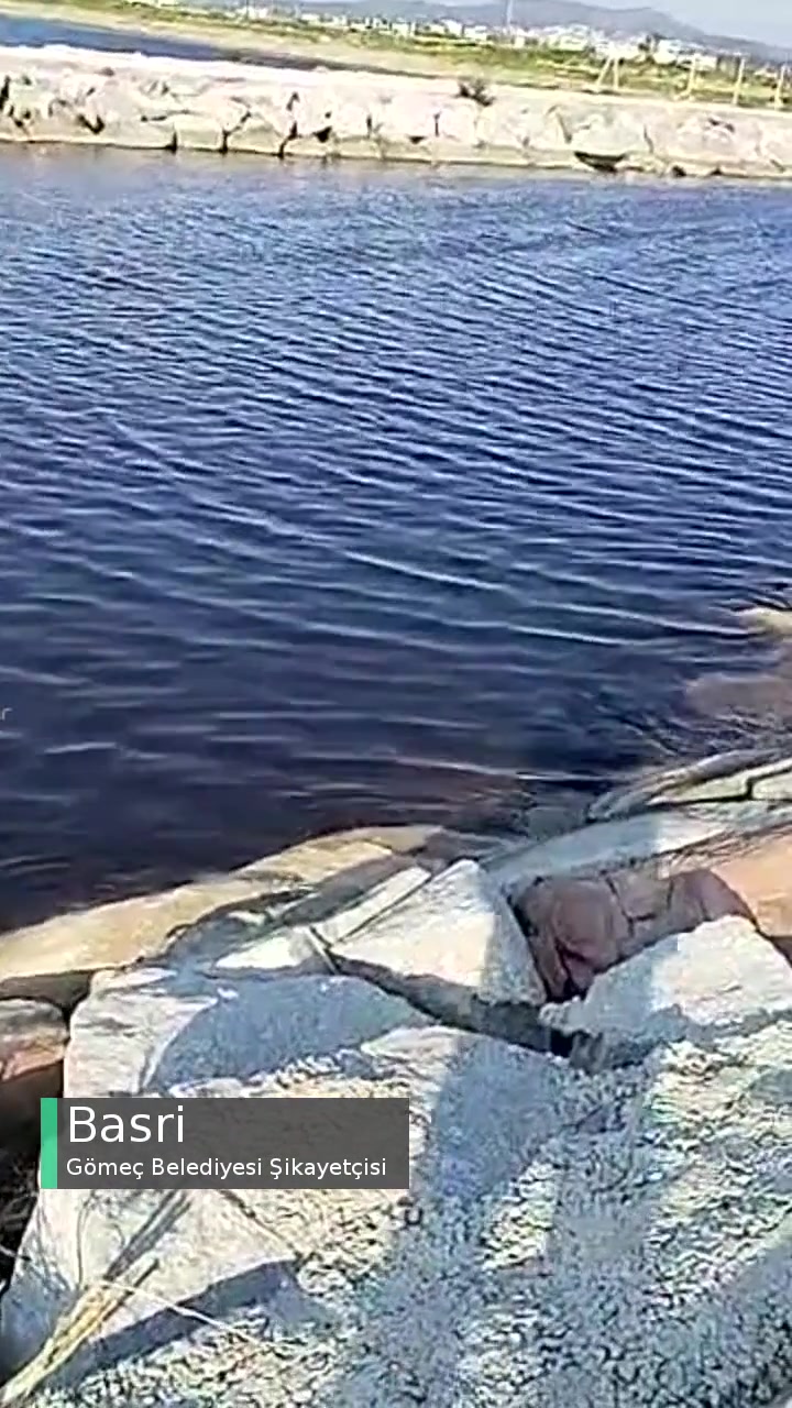 Gömeç Belediyesi Denizimizi Kirletmeyin Canlıları Yok Etmeyin! videonun kapak resmi
