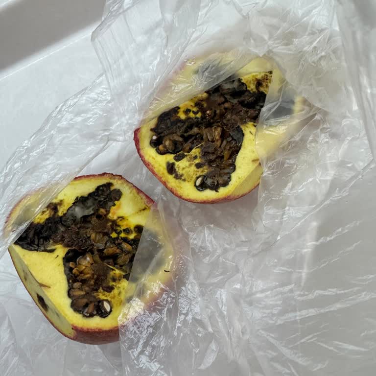 Bağdat Caddesi Şehzade Markette Çöpe Atılan Ürünler Ve Yüksek Fiyatlar