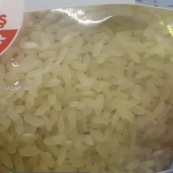 Bozuk Ürün Hasata Pirinç