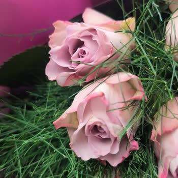 Yanıltıcı Çiçek Görselleri Ve Kupon Dayatmasıyla 870 TL Nakit İadesi Talebi