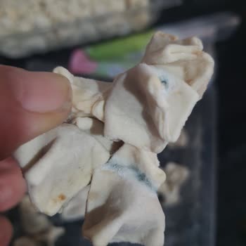 Migros Online Siparişindeki Küflü Mantı İçin İade Talebi