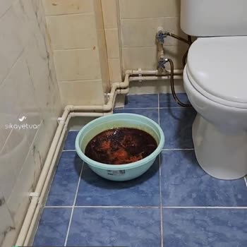 İsonem EP Primer Problemi