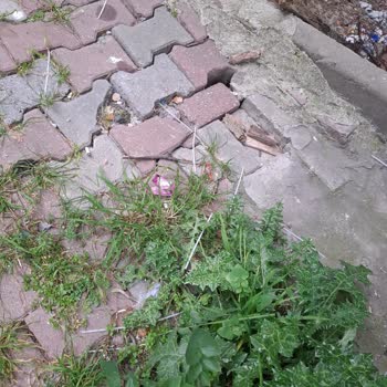 Kaldırım Taşlarının Yanlış Yerleştirilmesi Nedeniyle Evime Su Basması