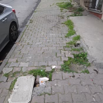 Kaldırım Taşlarının Yanlış Yerleştirilmesi Nedeniyle Evime Su Basması