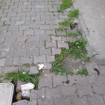 Kaldırım Taşlarının Yanlış Yerleştirilmesi Nedeniyle Evime Su Basması