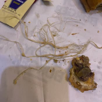 Enjoy Burger'den Plastik Parçalı Burger Ve Şirketin Sorumluluk Almayan Tutumu