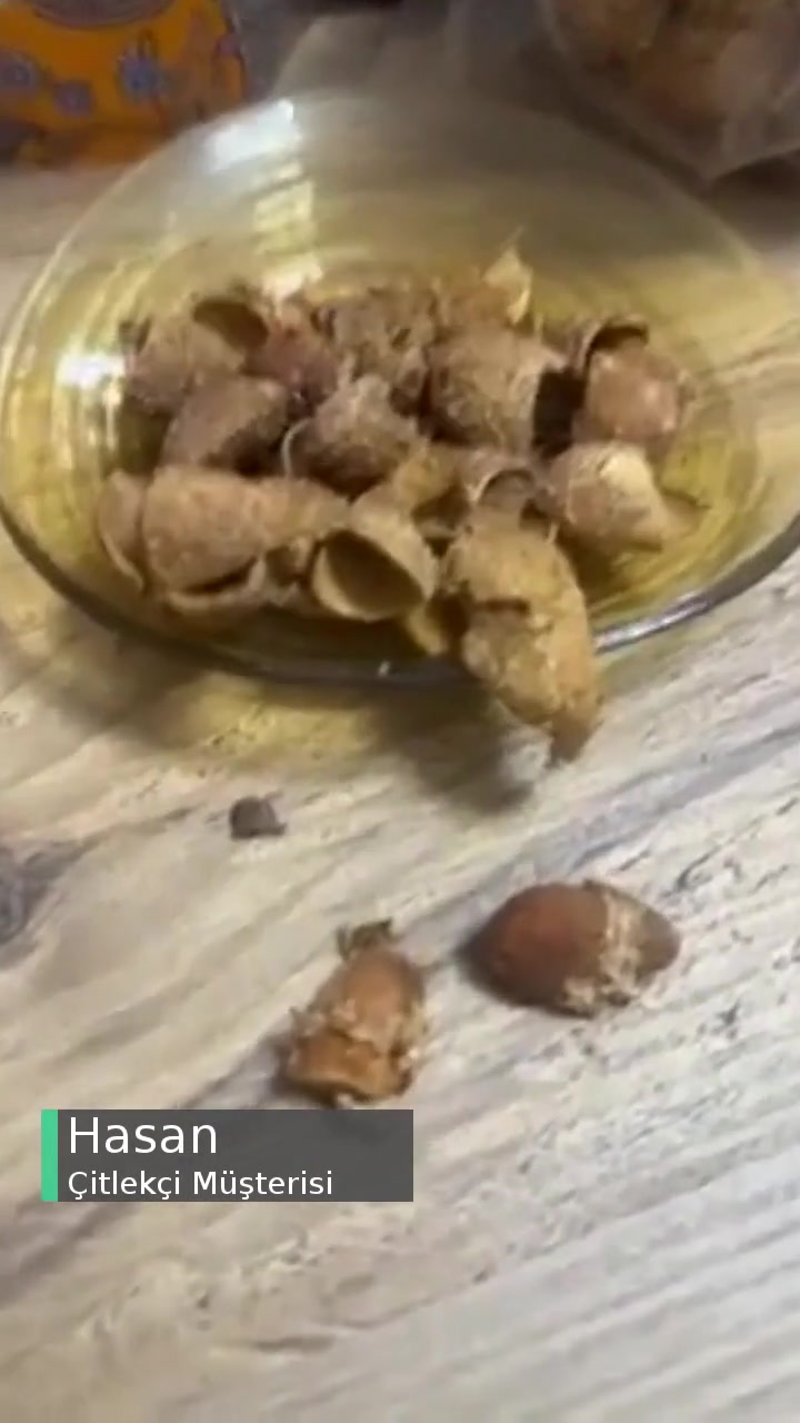 Çitlekçi Kabuklu Badem Kurtlu Çıktı! videonun kapak resmi