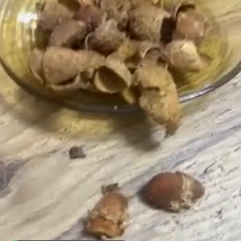 Çitlekçi Kabuklu Badem Kurtlu Çıktı!