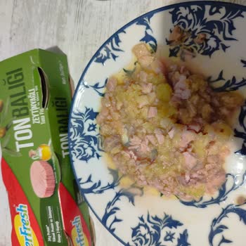 Superfresh Bozuk Ton Balığı Ürünü Nedeniyle Sağlık Riski Ve Maddi Kayıp