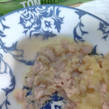 Superfresh Bozuk Ton Balığı Ürünü Nedeniyle Sağlık Riski Ve Maddi Kayıp