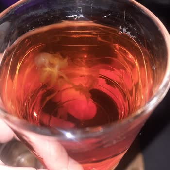 Fuse Tea'de Solucan Görüntüsü: Ürün Değişimi Ve İnceleme Talebi