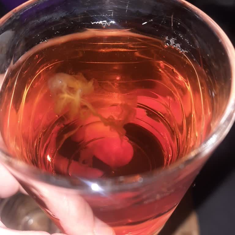 Fuse Tea'de Solucan Görüntüsü: Ürün Değişimi Ve İnceleme Talebi