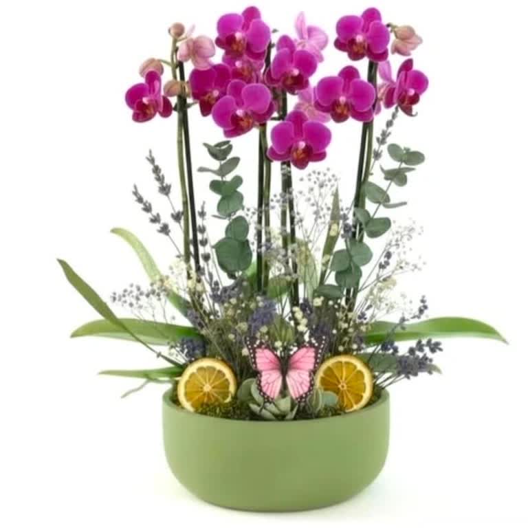 İlan Görseliyle Uyuşmayan Orkide Siparişi Ve İade Talebi