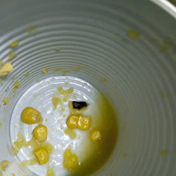 Tada Mısır Konservesinin İçinden Siyah Bir Kurtçuk Çıktı