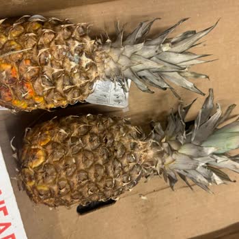 A101 Serik Mağazasında Hijyen, Düzen Ve Personel Eksikliği