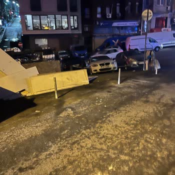 Şişli Ergenekon Mahallesi’nde Kapı Önü Demirleri Engelli Vatandaşı Park Erişimini Kısıtlıyor